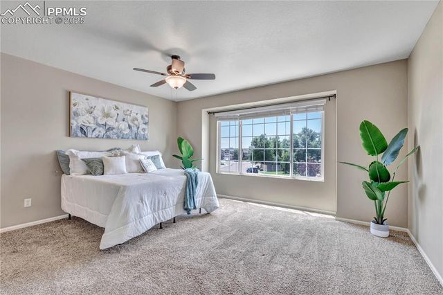 6225 Laurel grass range Trail, Colorado Springs, CO 80925