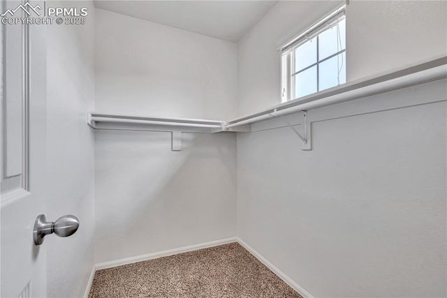 6225 Laurel grass range Trail, Colorado Springs, CO 80925