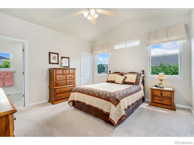 3793 Wine Cup Street, Wellington, CO 80549
