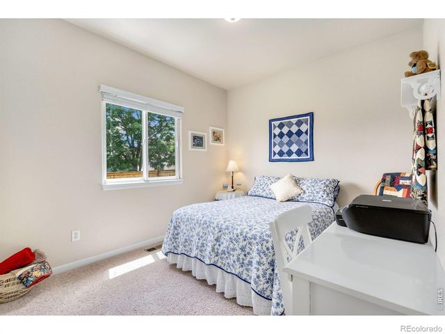 3793 Wine Cup Street, Wellington, CO 80549