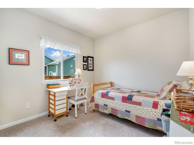 3793 Wine Cup Street, Wellington, CO 80549