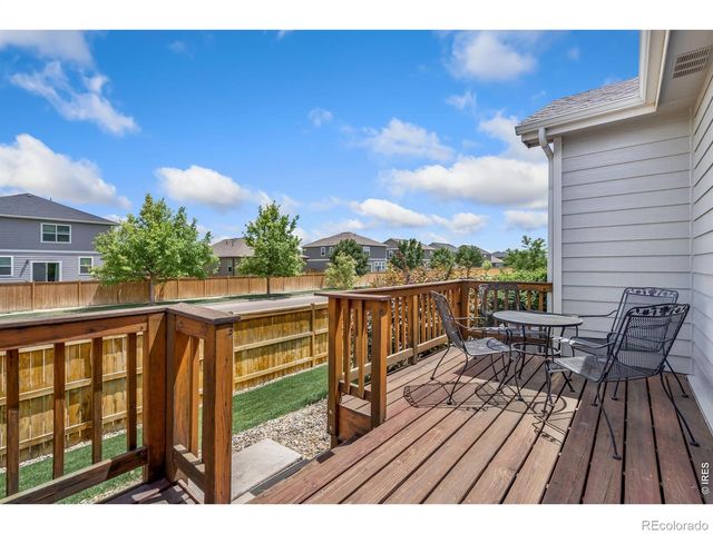 3793 Wine Cup Street, Wellington, CO 80549