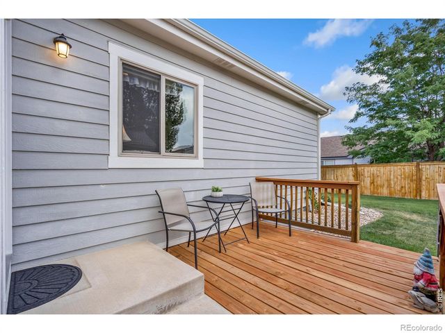 3793 Wine Cup Street, Wellington, CO 80549