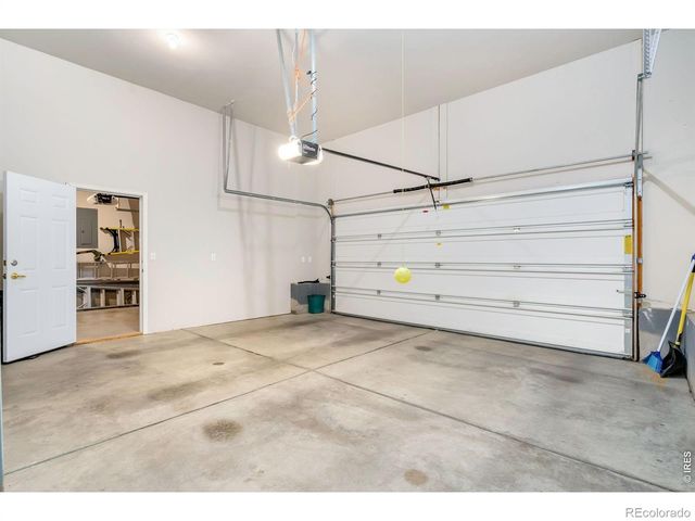 3793 Wine Cup Street, Wellington, CO 80549