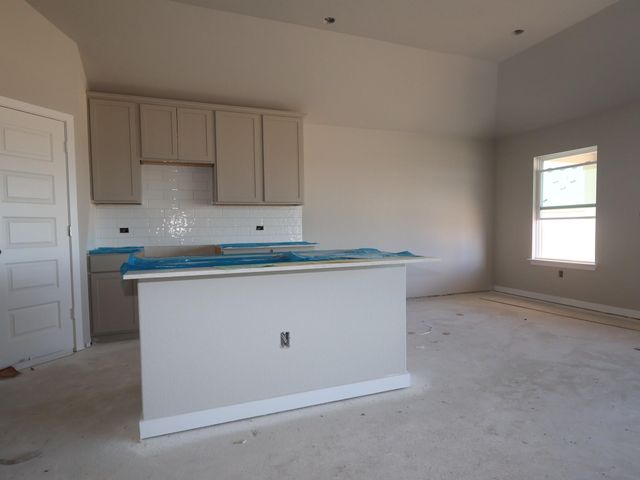12204 Stilt Sandpiper CV, Buda, TX 78610