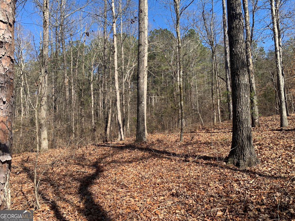 0 Veterans Drive, Danielsville, GA 30633 — photo 3