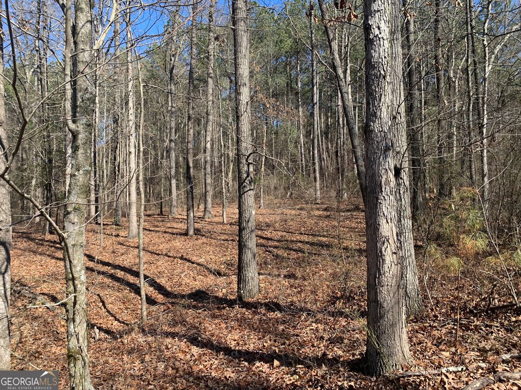 0 Veterans Drive, Danielsville, GA 30633 — photo 5