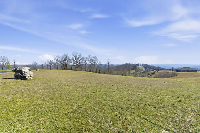 815 Forest View, Saddlebrooke, MO 65630