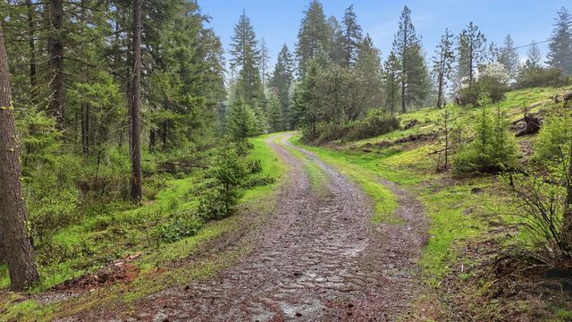 13118 NE Newman Lake Rd, Newman Lake, WA 99025