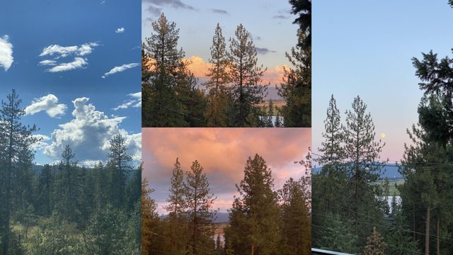 13118 NE Newman Lake Rd, Newman Lake, WA 99025