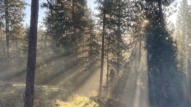 13118 NE Newman Lake Rd, Newman Lake, WA 99025