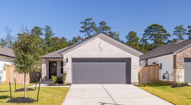 16691 Sterling Cliff Street, Conroe, TX 77302