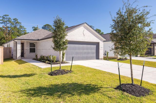 16691 Sterling Cliff Street, Conroe, TX 77302