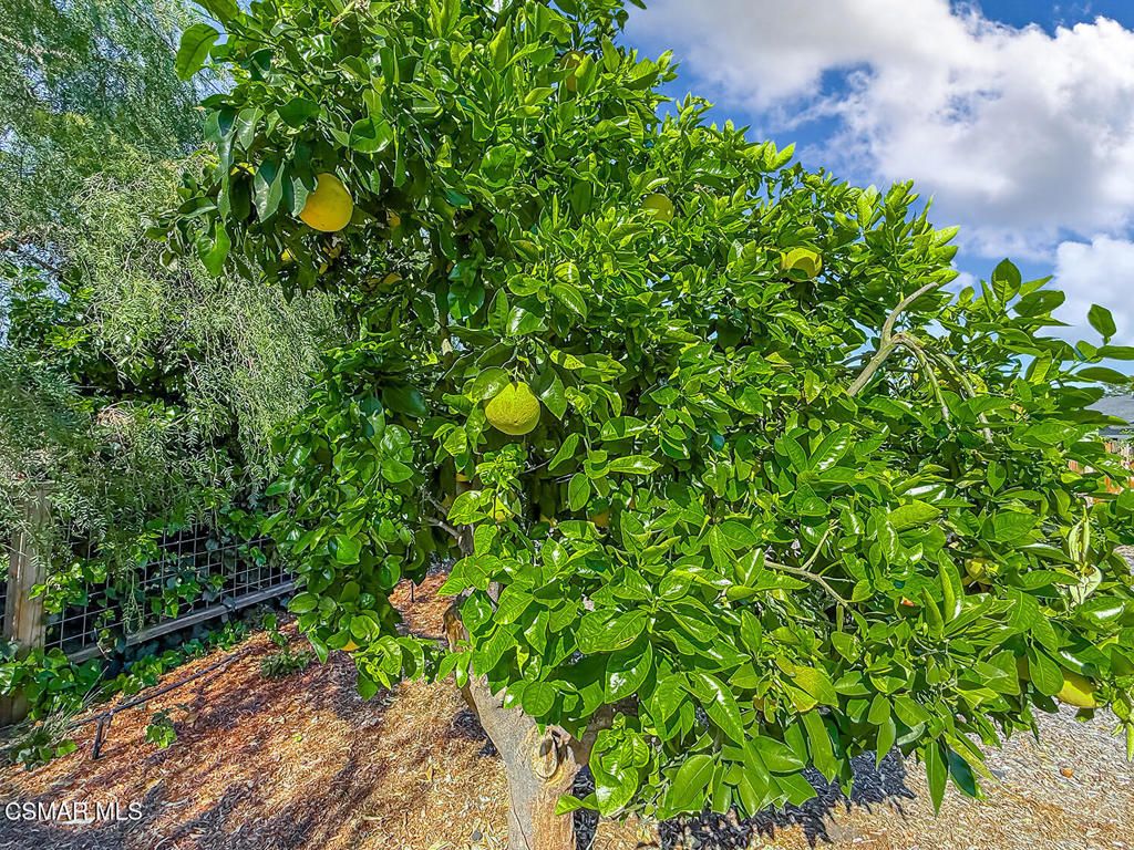Image 35 of property listing at 211 Sandberg Street, Thousand Oaks, CA 91360