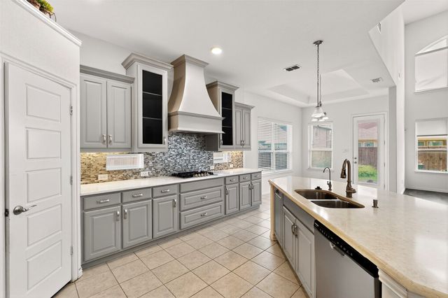 13429 Tabasco Cat Drive, Frisco, TX 75035