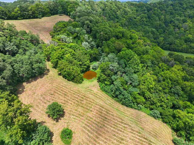 89 Conditt Hollow Rd, Elmwood, TN 38560
