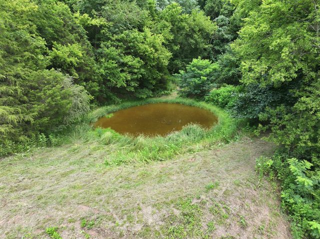 89 Conditt Hollow Rd, Elmwood, TN 38560