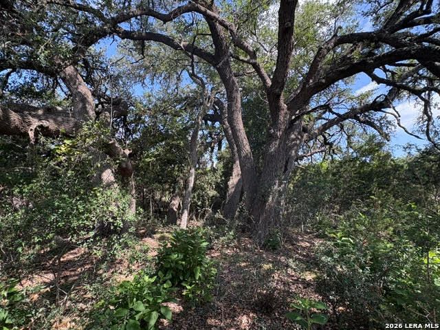 LOT 2025 Split Ridge, Spring Branch, TX 78070