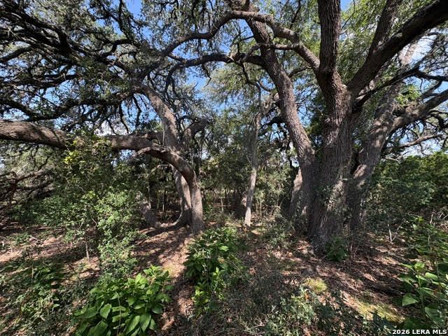 LOT 2025 Split Ridge, Spring Branch, TX 78070