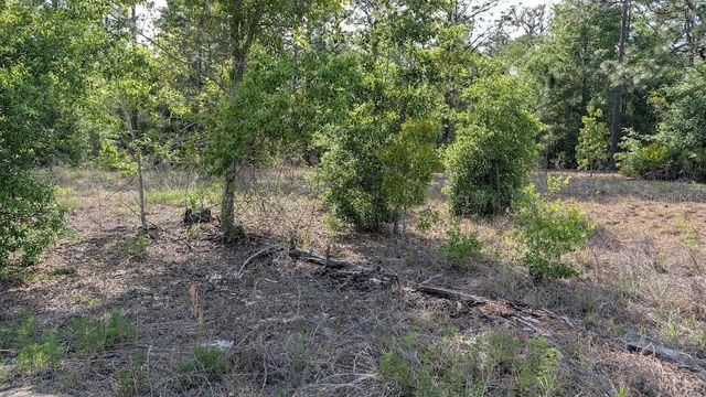 Lot 88 SW 152 ND COURT, Ocala, FL 34481