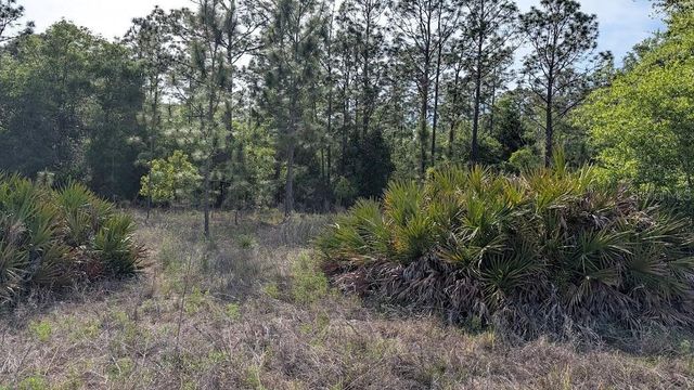 Lot 88 SW 152 ND COURT, Ocala, FL 34481