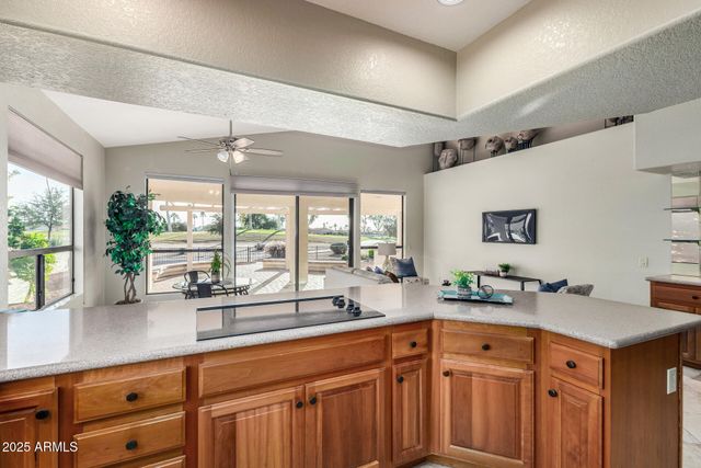 10617 E MICHIGAN Avenue, Sun Lakes, AZ 85248