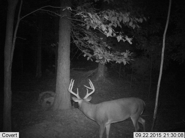 41.15 acres State Highway 506, Marion, KY 42064