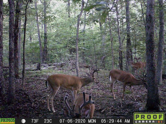 41.15 acres State Highway 506, Marion, KY 42064