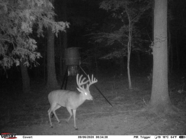 41.15 acres State Highway 506, Marion, KY 42064
