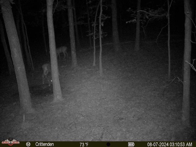 41.15 acres State Highway 506, Marion, KY 42064