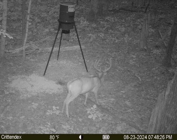 41.15 acres State Highway 506, Marion, KY 42064