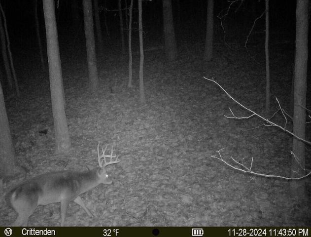 41.15 acres State Highway 506, Marion, KY 42064