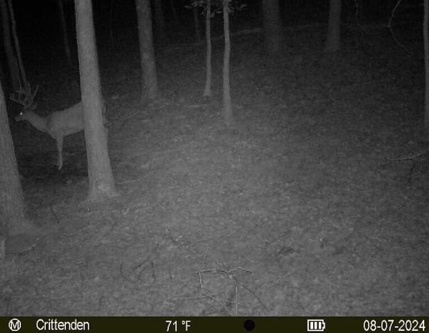 41.15 acres State Highway 506, Marion, KY 42064