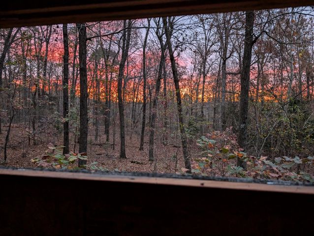 41.15 acres State Highway 506, Marion, KY 42064