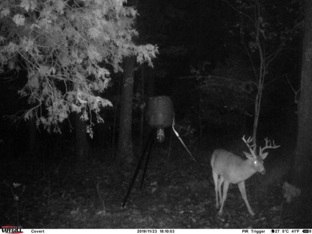 41.15 acres State Highway 506, Marion, KY 42064
