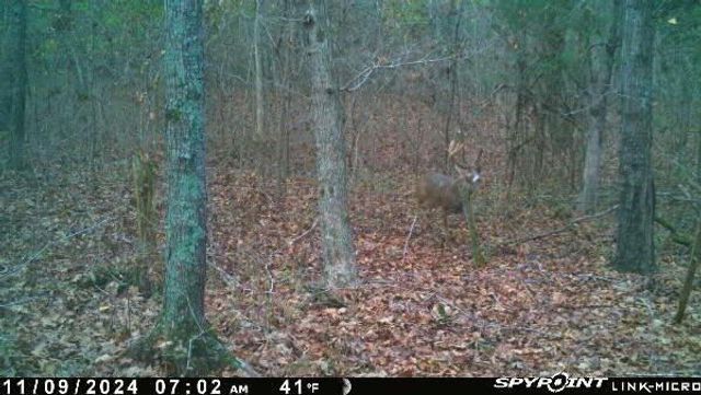 41.15 acres State Highway 506, Marion, KY 42064