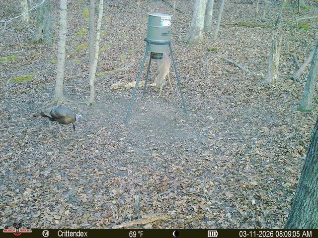 41.15 acres State Highway 506, Marion, KY 42064