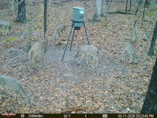 41.15 acres State Highway 506, Marion, KY 42064