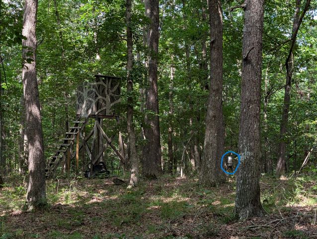 41.15 acres State Highway 506, Marion, KY 42064