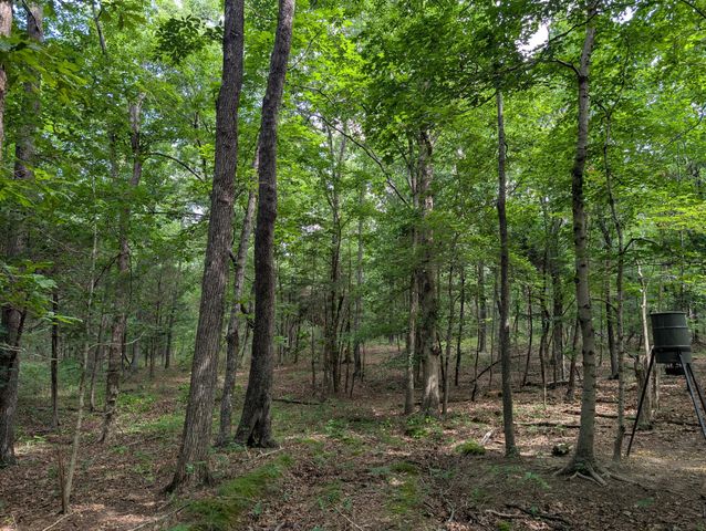 41.15 acres State Highway 506, Marion, KY 42064