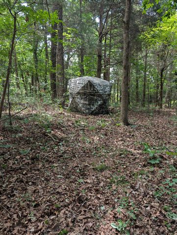 41.15 acres State Highway 506, Marion, KY 42064