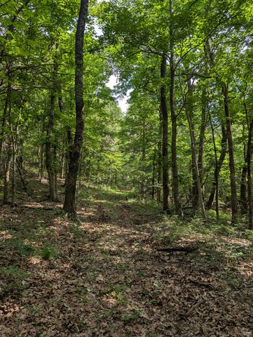 41.15 acres State Highway 506, Marion, KY 42064