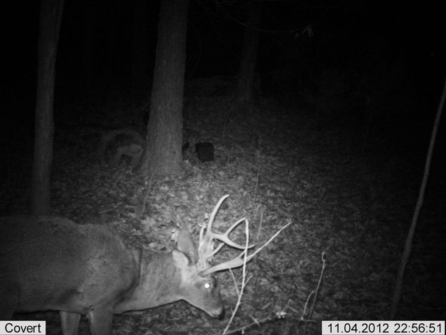 41.15 acres State Highway 506, Marion, KY 42064