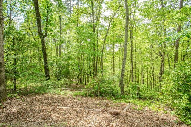 259 Long Branch Road, Dahlonega, GA 30533