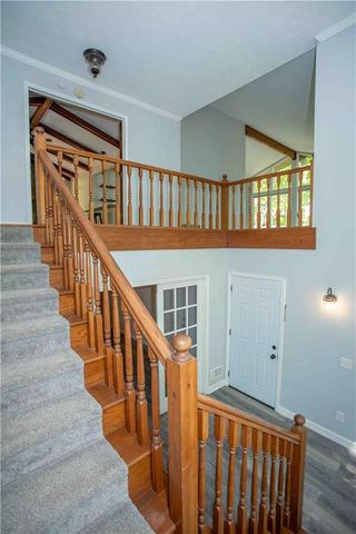 259 Long Branch Road, Dahlonega, GA 30533
