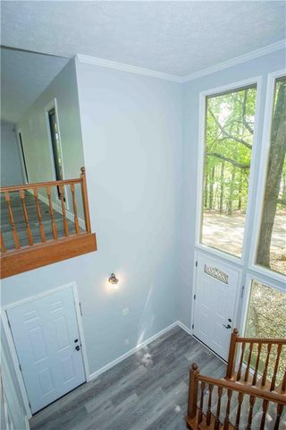 259 Long Branch Road, Dahlonega, GA 30533