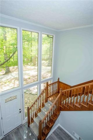 259 Long Branch Road, Dahlonega, GA 30533