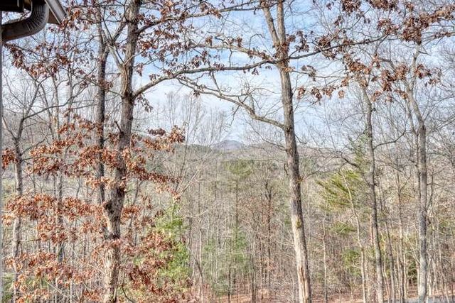 469 Myers Road, Brasstown, NC 28902