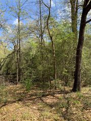 137 Foyt Drive, Livingston, TX 77351