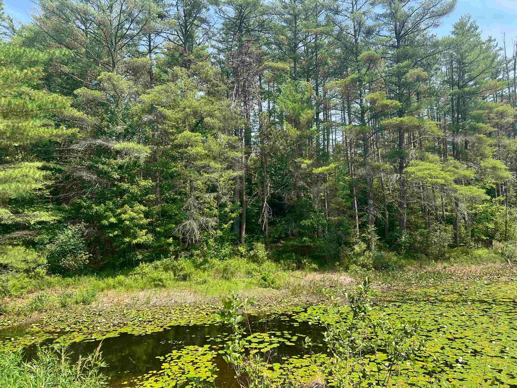 179 Chickville Road, Ossipee, NH 03864